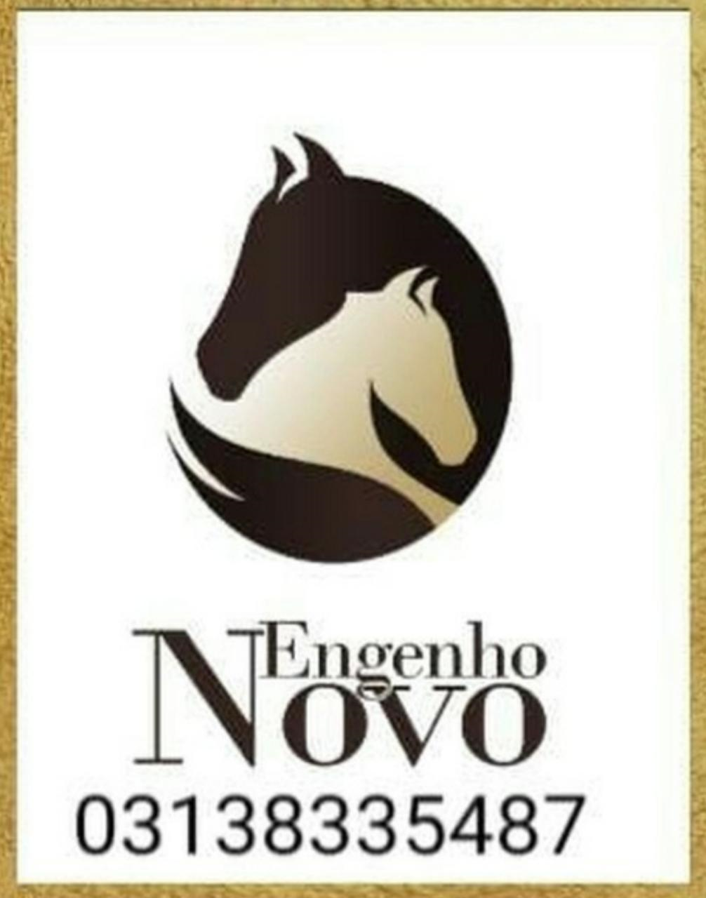 Engenho Novo