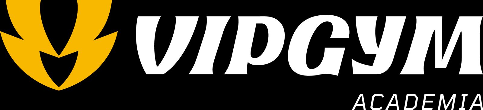 VipGym Academia