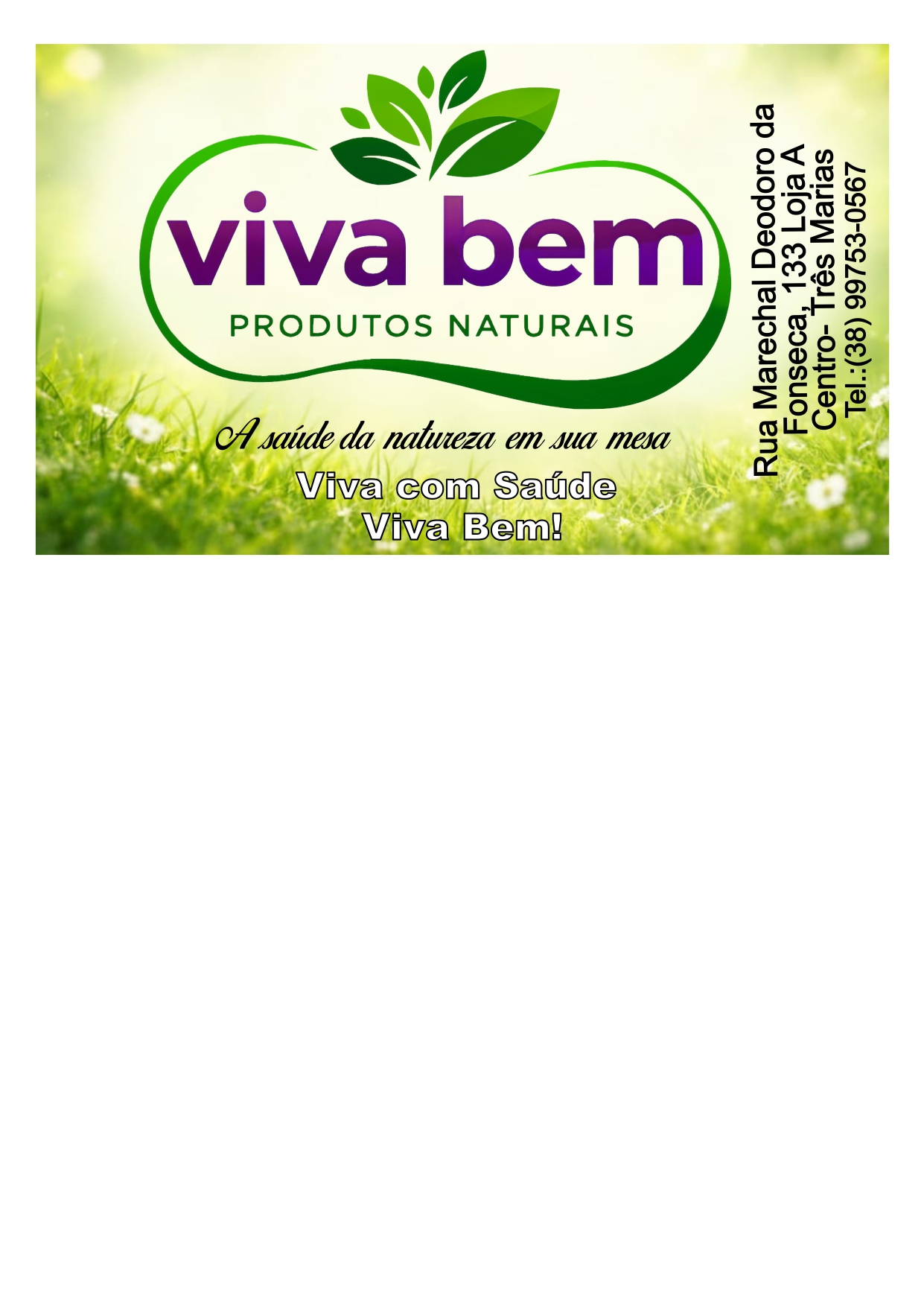 Viva Bem